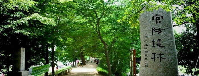 관방제림 is one of To-Visit (Gwangju).