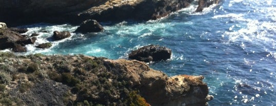Point Lobos State Reserve is one of To do: Big Sur / Monterey.