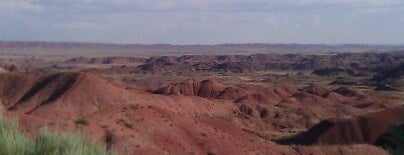 Petrified Forest National Park is one of U.S. National Parks.