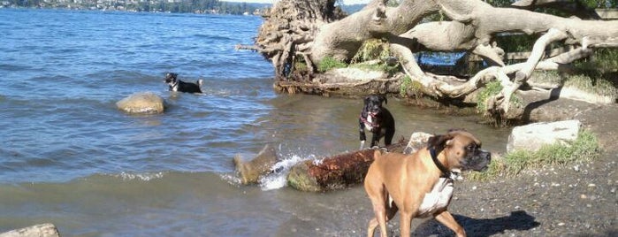 Magnuson Park Off-Leash Dog Park is one of Puppy Love: Best Dog-friendly Spots.