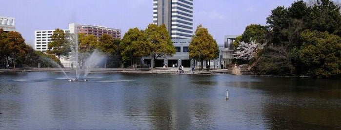 多摩中央公園 大池 is one of 公園・庭園巡り.