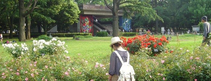 Yoyogi Park is one of My Trip to Japan.