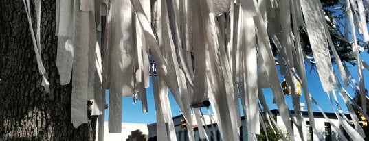 Toomer's Corner is one of It's Time to Graduate!.