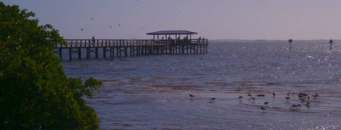 Safety Harbor Florida Pier is one of Bob's Favorite Places to Walk or Bike.