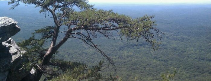 Cheaha State Park is one of Turbofugg American Road Trip 17.