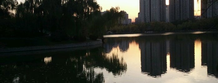 Zizhuyuan Park is one of Outdoors in Beijing.