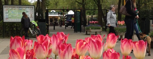 Keukenhof is one of To-do in Armsterdam.