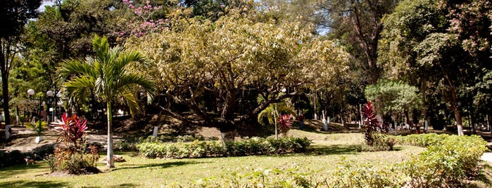 Parque Cuscatlan is one of Parques.