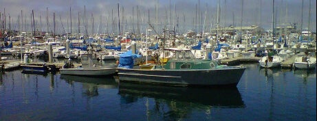 Monterey Bay is one of Places Which I Must See.