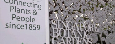 Singapore Botanic Gardens is one of All-time favorites in Singapore.