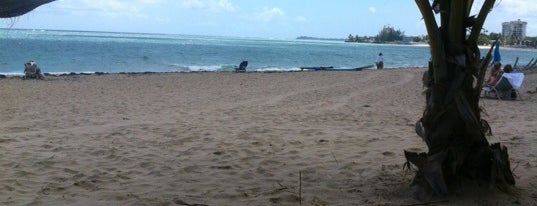 Ocean Park Beach is one of Things To Do In Puerto Rico.