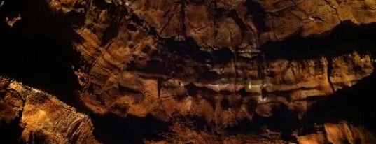 Mammoth Cave National Park is one of BGKY List of Places to See.