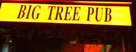 Big Tree Pub is one of Lieux sauvegardés par Leo.