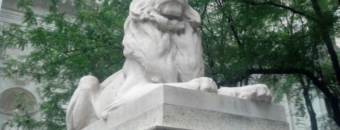 New York Public Library - Stephen A. Schwarzman Building is one of 25 Most Beautiful Public Libraries in the World.