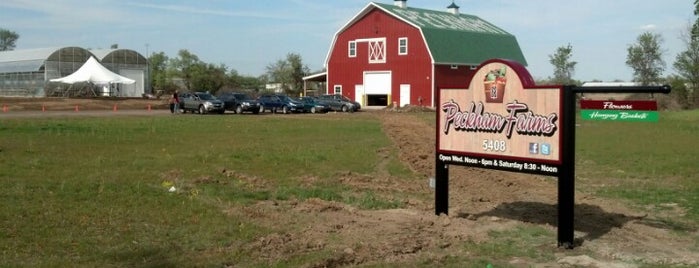 Peckham Farms is one of Family Fun Places to Visit.