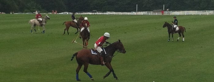 Newport Polo is one of Rhode Island Must Do.