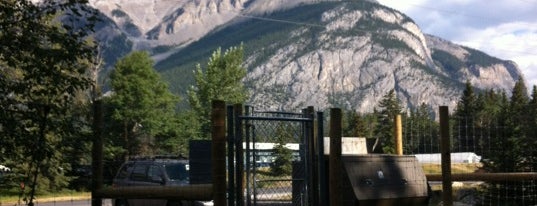 Banff Dog Park is one of Riding the Cougar-Banff.