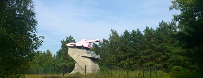 Sowjetisches Panzerdenkmal is one of Orte, die Thomas gefallen.