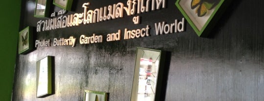 สวนผีเสื้อและโลกแมลงภูเก็ต is one of Guide to the best spots in Phuket.|เที่ยวภูเก็ต.