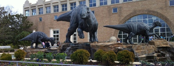 Fernbank Museum of Natural History is one of Family Fun in Atlanta.