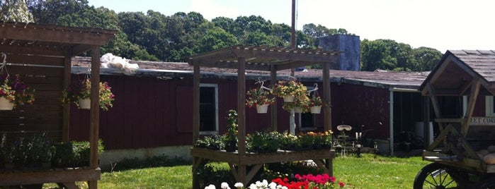 North Sea Farms - Country Farm Stand is one of Enjoy a Hamptons Beach Picnic.