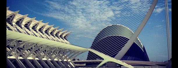 Ciudad de las Artes y las Ciéncias is one of valencia.