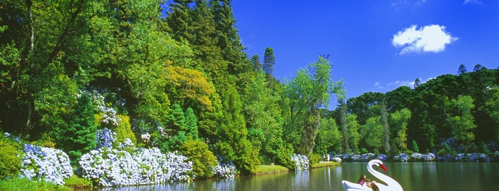 Parques e Jardins ☼