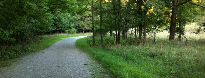 Lion's Club Road Trail is one of Outdoors.