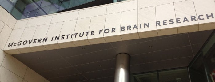 MIT Building 46 (Brain and Cognitive Sciences) is one of David : понравившиеся места.