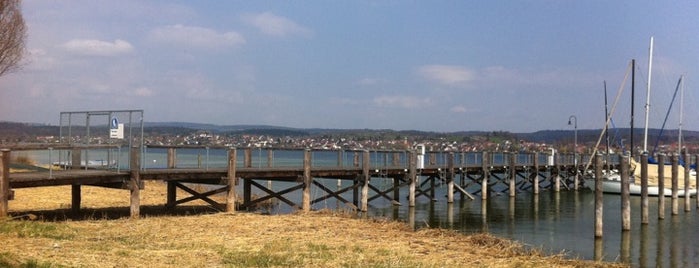 Insel Reichenau is one of Deutschland - Sehenswürdigkeiten.