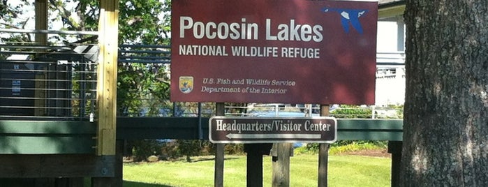 Pocosin Lakes National Wildlife Refuge is one of NC's Best-Kept Secrets.