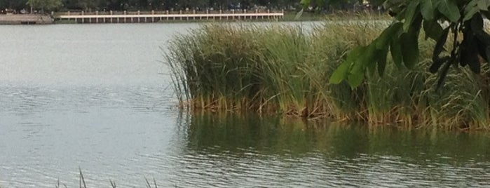 Kaen Nakhon Lake is one of Pupae: сохраненные места.