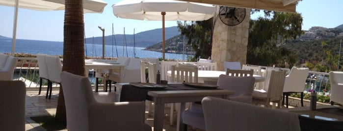 Salt and Pepper is one of Kalkan.