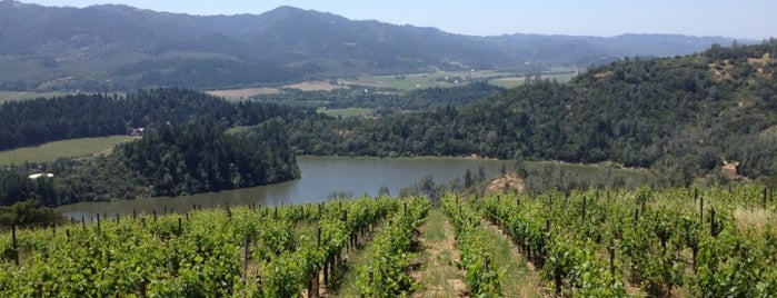 Viader Vineyards is one of Wine Country.