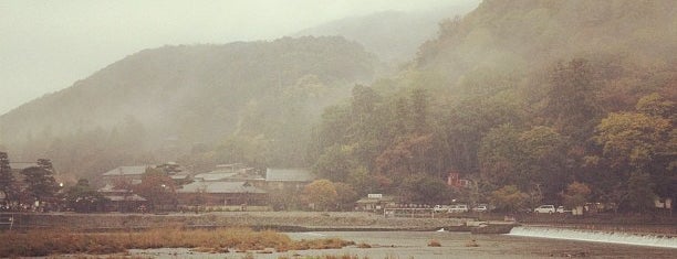 Arashiyama is one of 京都の定番スポット　Famous sightseeing spots in Kyoto.
