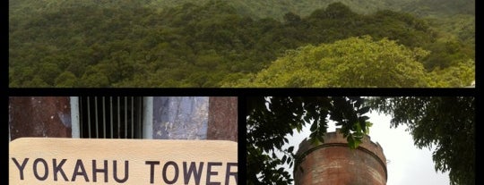 Yokahu Tower is one of Posti che sono piaciuti a Ashok.