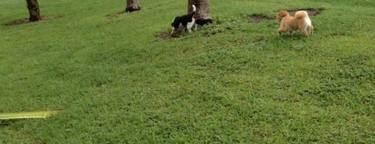 Pace Park Dog Walk is one of Locais curtidos por Hakan.