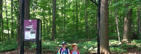 Maybury State Park is one of Michigan State Parks.