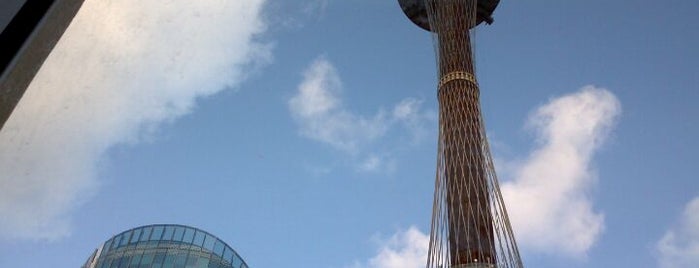 Sydney Tower Eye is one of Syd - places to visit.