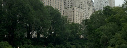 Central Park is one of NY Arts & Culture.