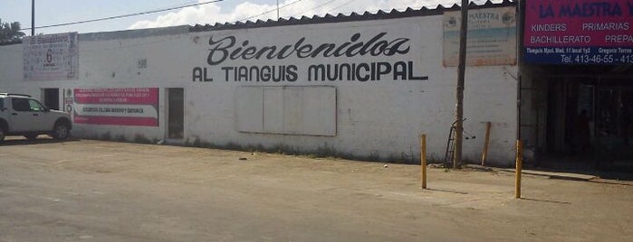 Tianguis Municipal is one of Lugares favoritos de Mark.