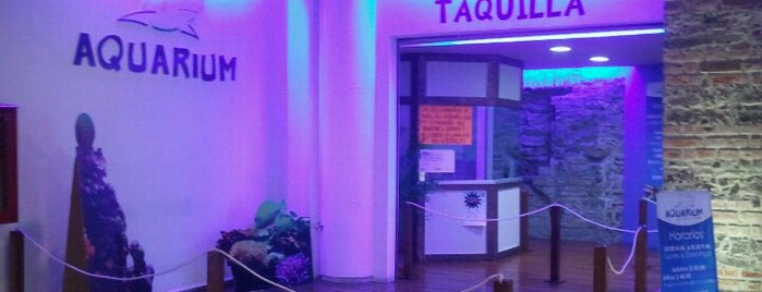 Aquarium: Museo de Ciencias Marinas is one of Tempat yang Disimpan Gus.