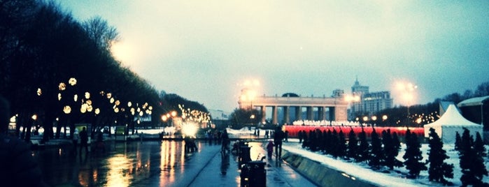 Gorky Park is one of Передвижения по Москве.