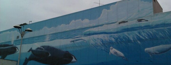 Wyland Whaling Wall is one of Anchorage, AK.