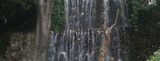 Parque Quinta de la Fuente del Berro is one of Parques de Madrid.