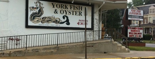 York Fish & Oyster Co is one of "True Blue" - Serving Local Maryland Crab.