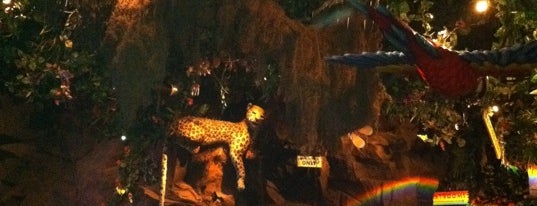 Rainforest Cafe is one of Chicago Northwest Attractions.