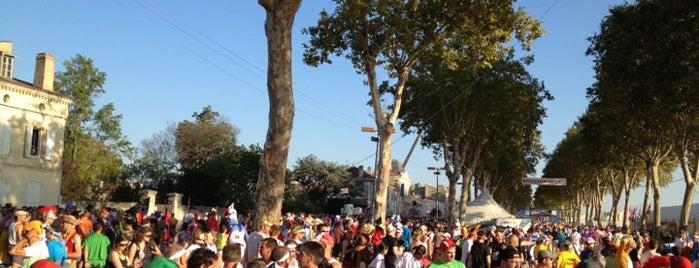 Marathon du Medoc Start Line is one of フランス旅.