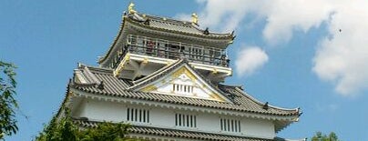 Gifu Castle is one of 日本100名城.