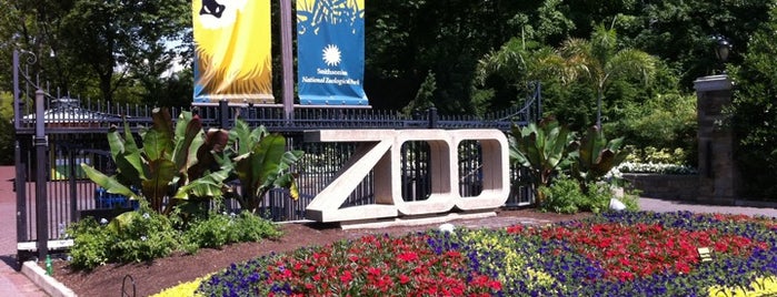 Smithsonian’s National Zoo is one of Washington DC.
